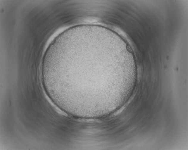 X0000080731432200701051048