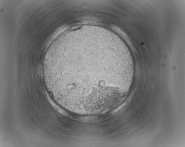 X0000080731433200701051048