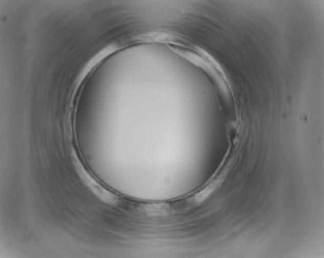 X0000080731434200701051048