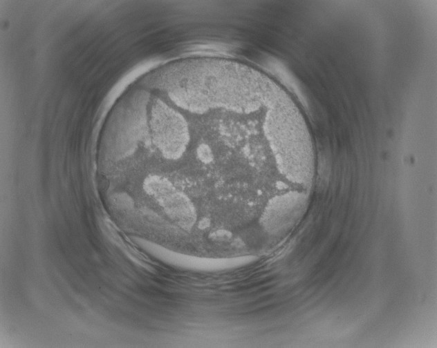 X0000080731435200701051048