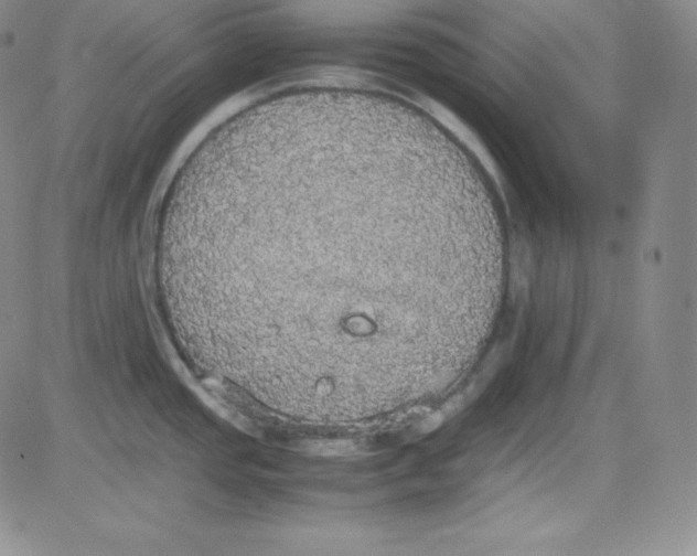 X0000080731437200701051048