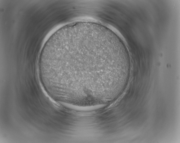 X0000080731440200701051048