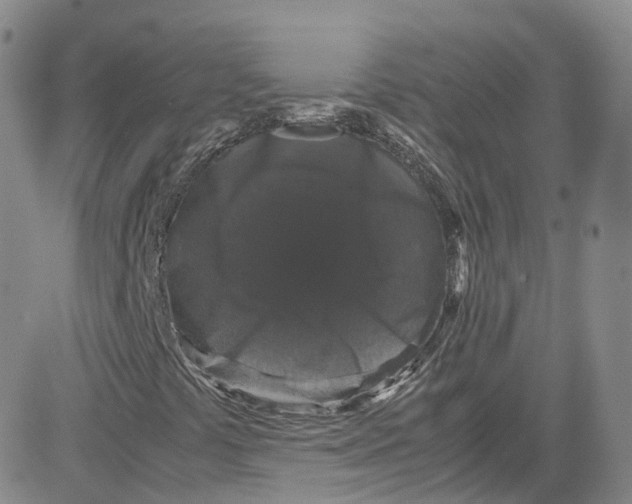 X0000080731441200701051047