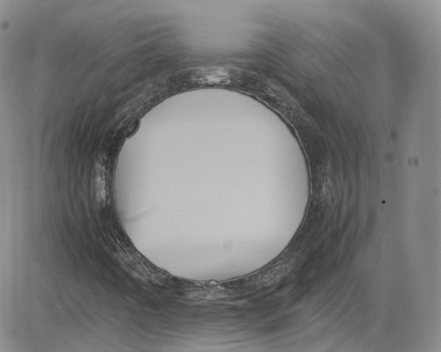 X0000080731442200701051047