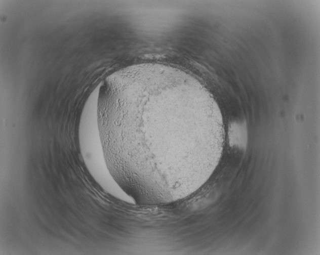 X0000080731444200701051047