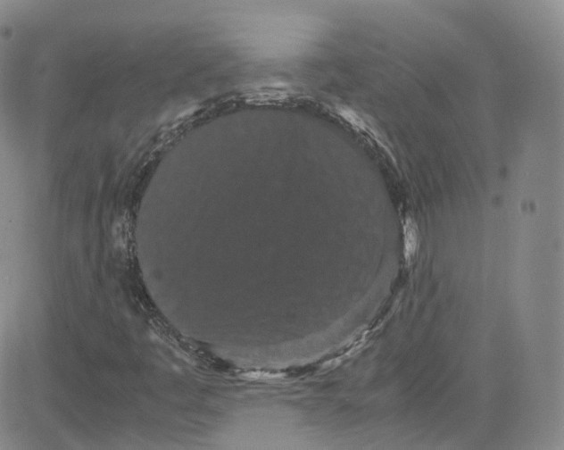 X0000080731445200701051047