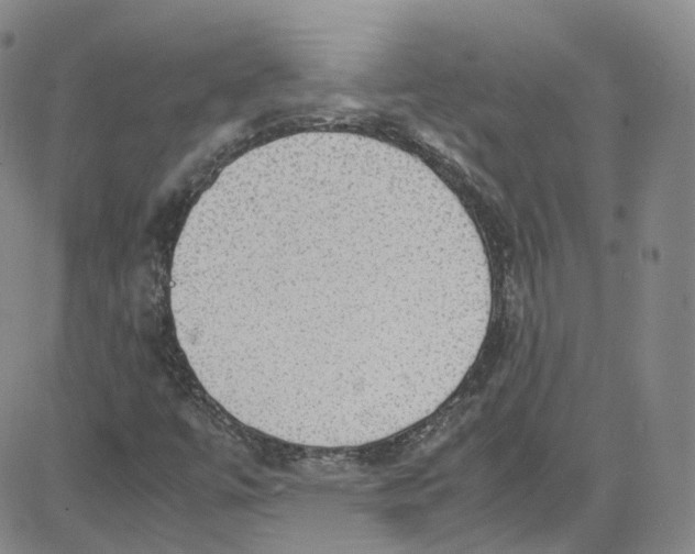 X0000080731447200701051047