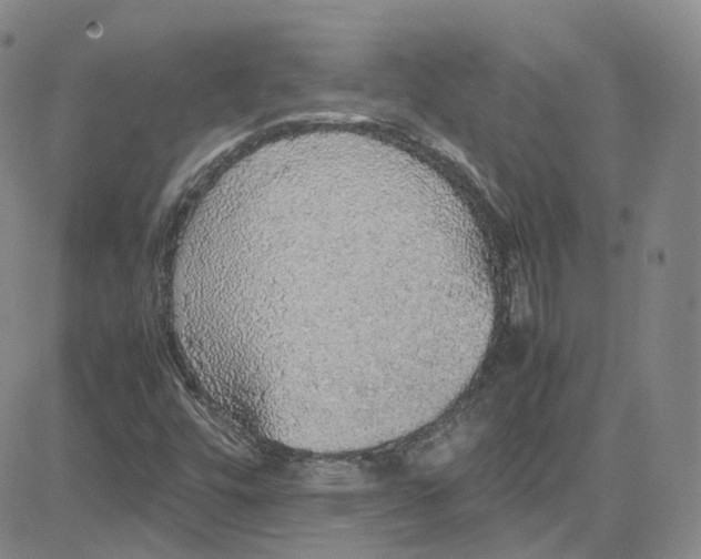 X0000080731448200701051047