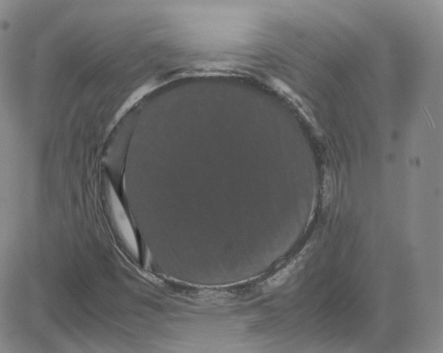 X0000080731449200701051047