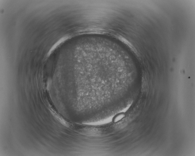 X0000080731450200701051047