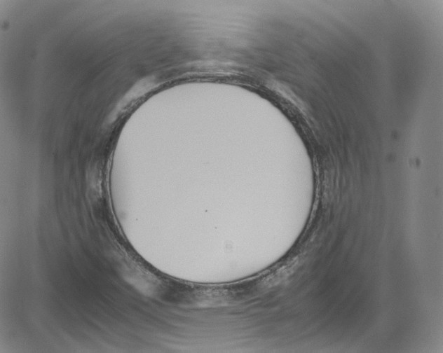 X0000080731451200701051047