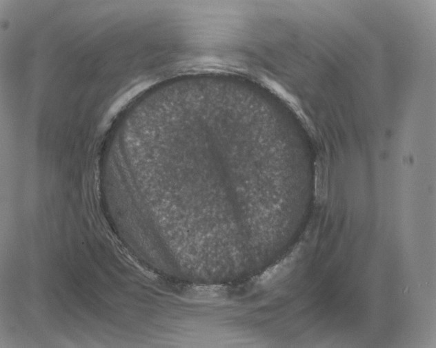 X0000080731453200701051047