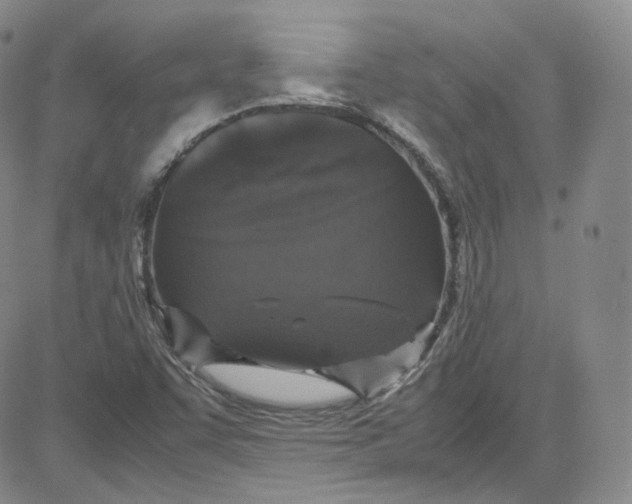 X0000080731455200701051047