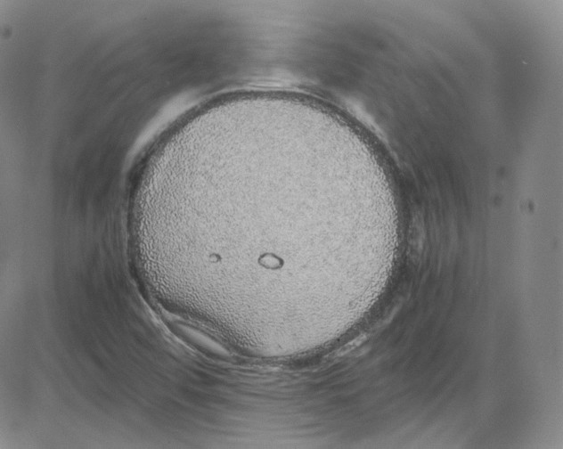 X0000080731456200701051047