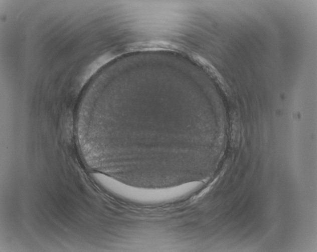 X0000080731457200701051047