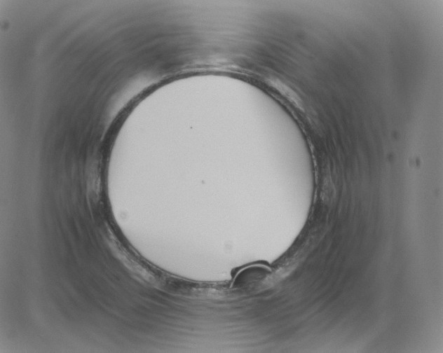 X0000080731458200701051047