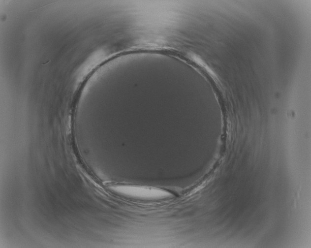 X0000080731459200701051047