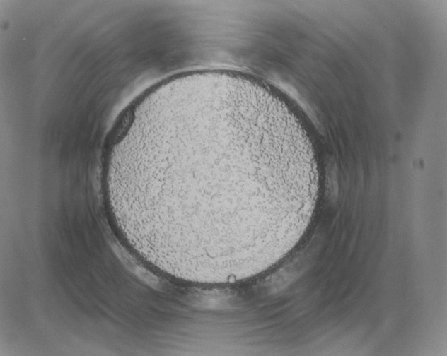 X0000080731460200701051047