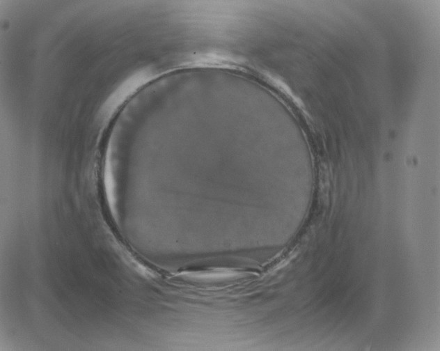 X0000080731463200701051047