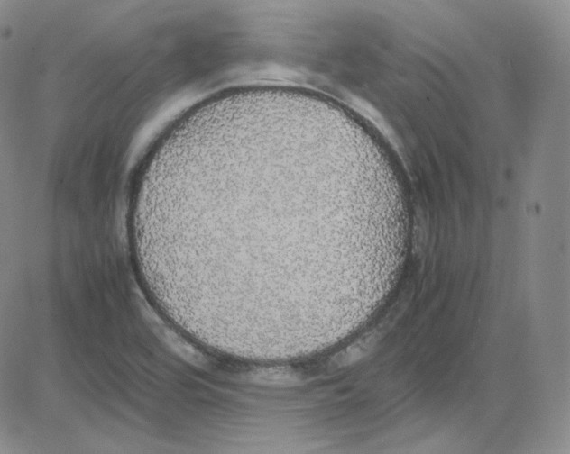 X0000080731464200701051047