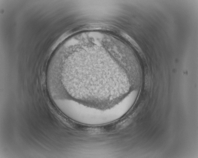 X0000080731465200701051047