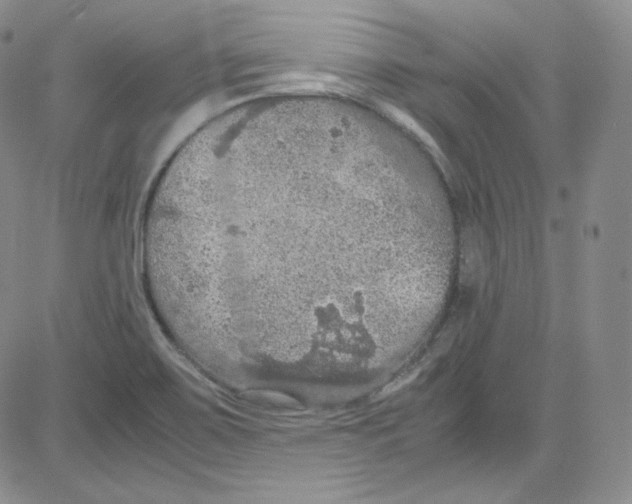 X0000080731467200701051047