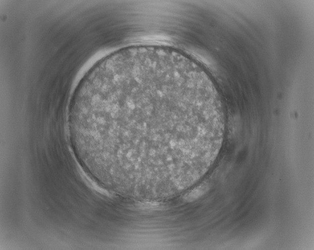 X0000080731470200701051047