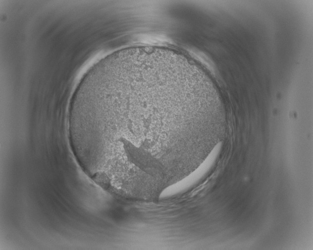 X0000080731471200701051047