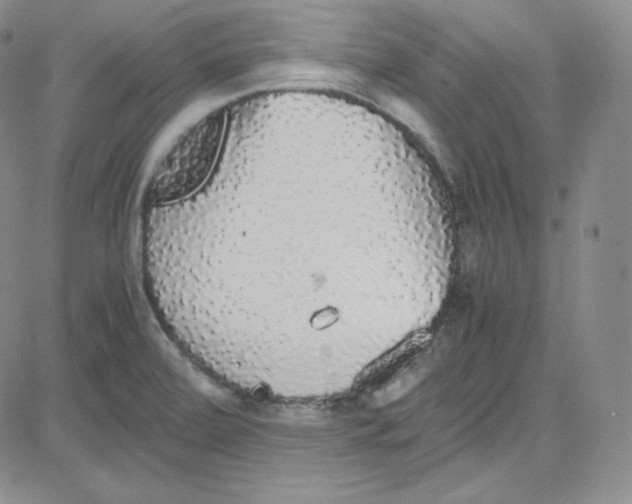 X0000080731472200701051047