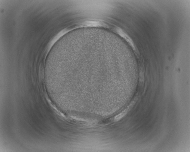 X0000080731473200701051047