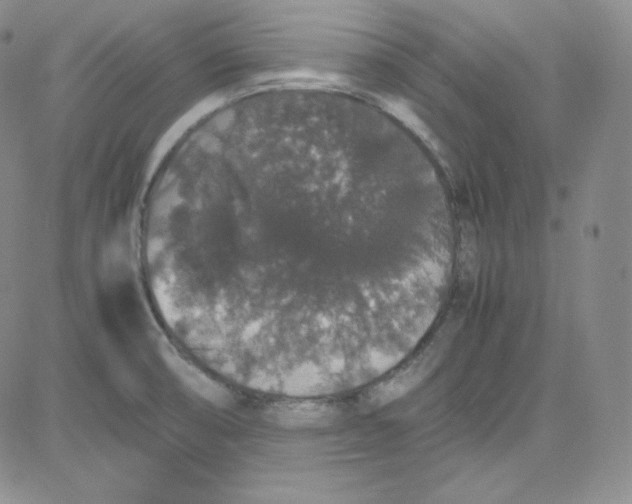 X0000080731474200701051047