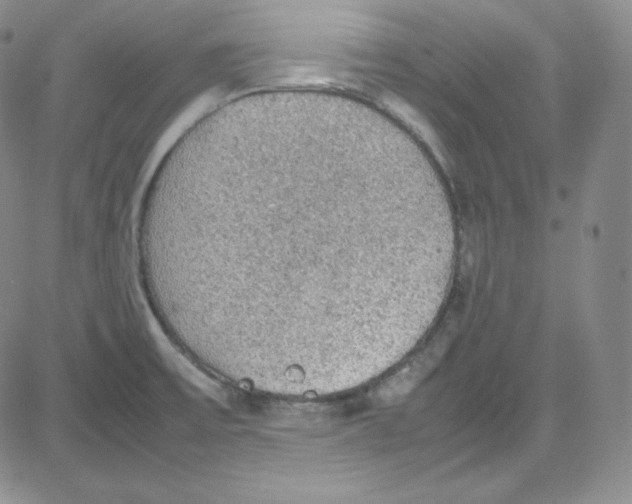 X0000080731475200701051047