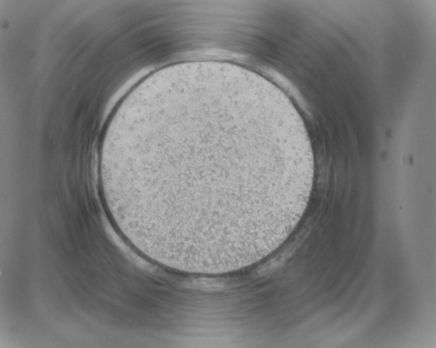 X0000080731476200701051047