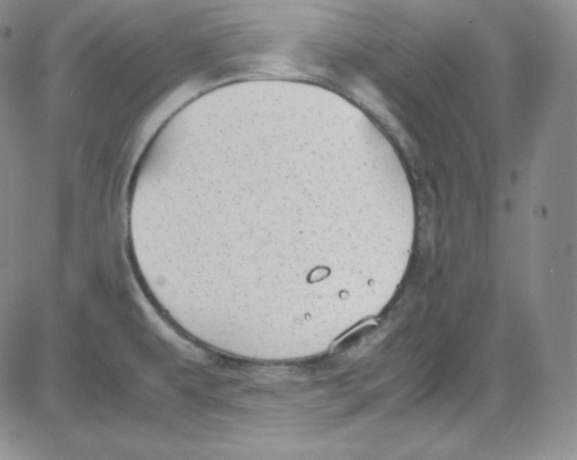 X0000080731479200701051047