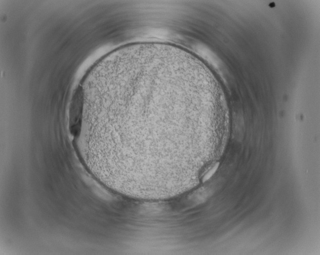 X0000080731480200701051047