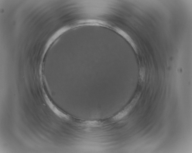 X0000080731482200701051047