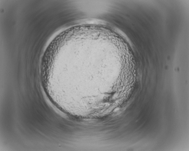 X0000080731483200701051047