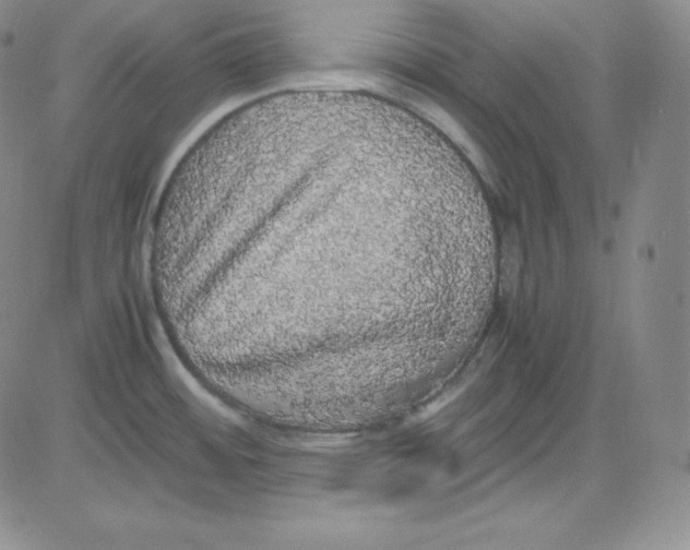 X0000080731484200701051046