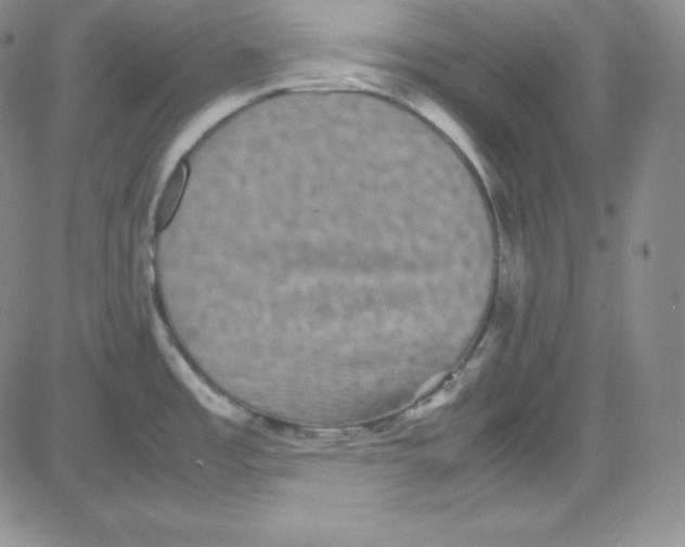 X0000080731485200701051046