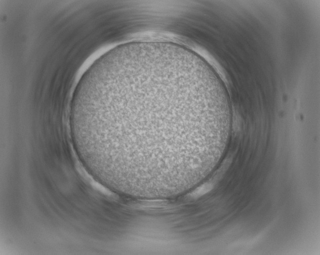 X0000080731486200701051046