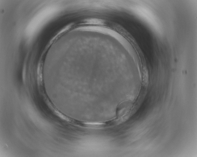 X0000080731487200701051046