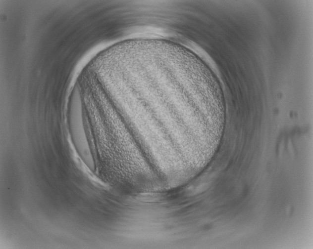 X0000080731488200701051046