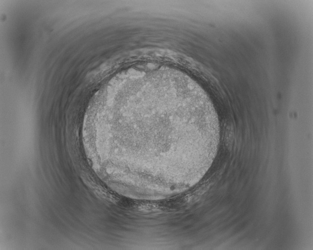 X0000080731489200701051046