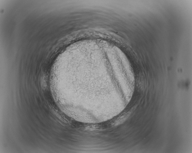 X0000080731490200701051046