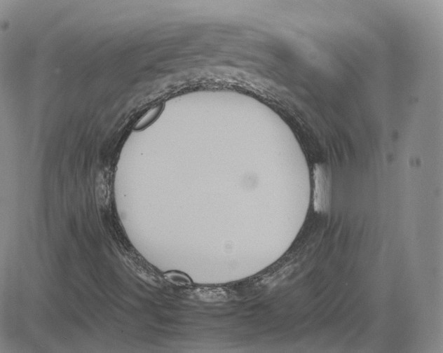 X0000080731491200701051046