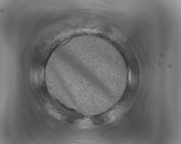 X0000080731492200701051046