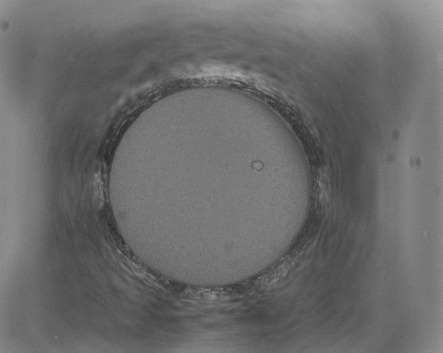 X0000080731493200701051046