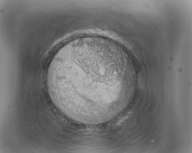 X0000080731494200701051046