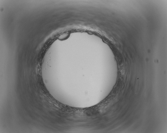 X0000080731495200701051046