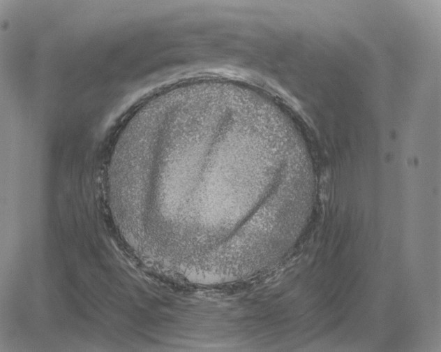 X0000080731496200701051046